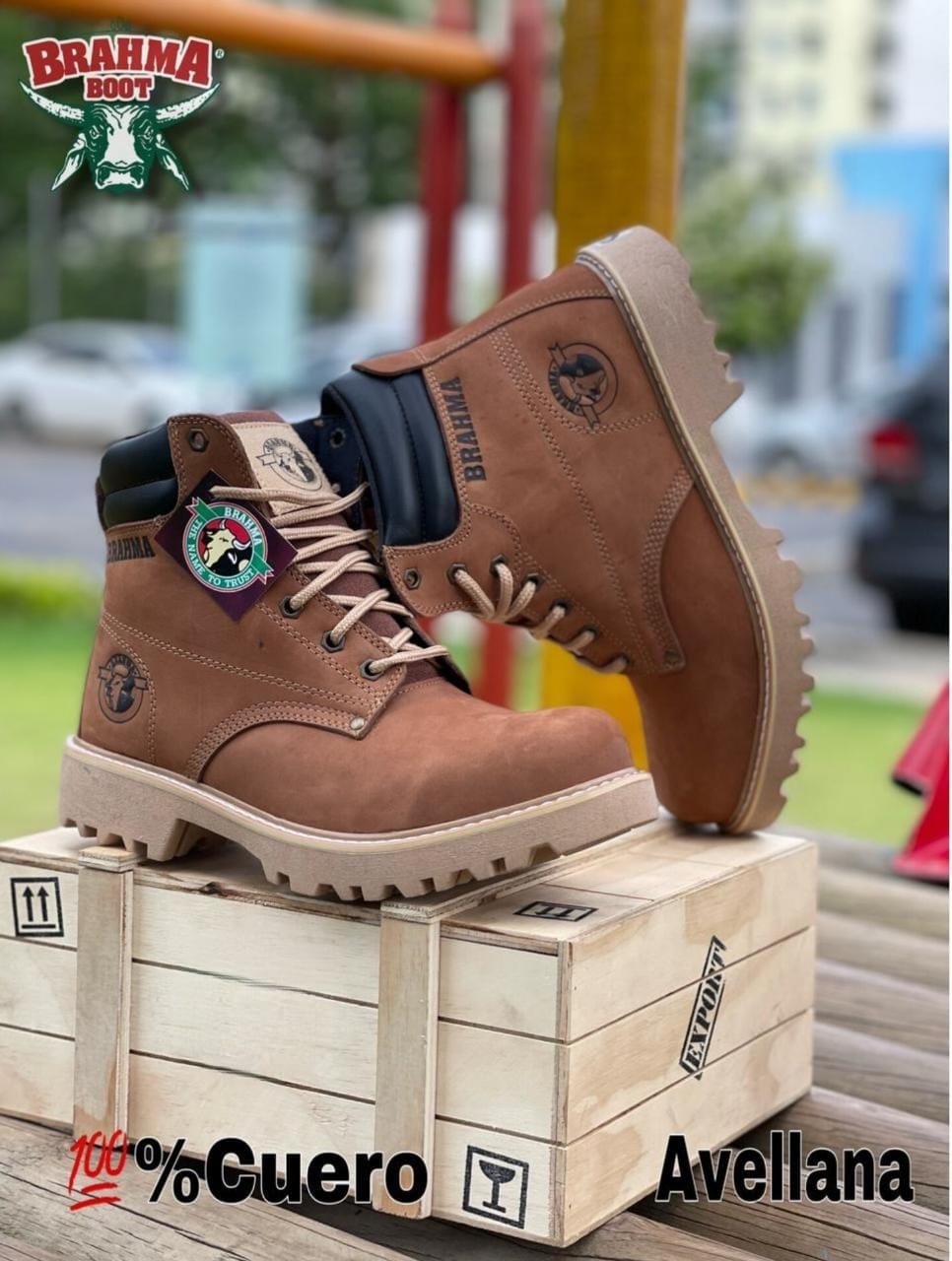 BOTA BRAHMA CLASICA CUERO + CAJA ⚜️