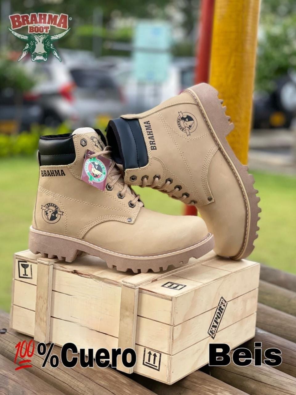 BOTA BRAHMA CLASICA CUERO + CAJA ⚜️